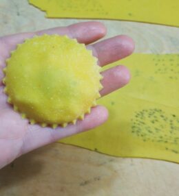 Bottoni alle erbe aromatiche ripieni di stracciatella, pesto di pistacchio e scamorza affumicata